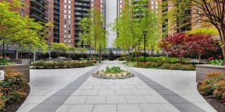 Arrive Silver Spring Gallery 78