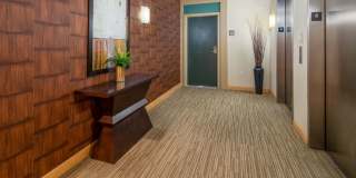 Beautiful 1 Bed 1 Bath in Denny Triangle Gallery 16