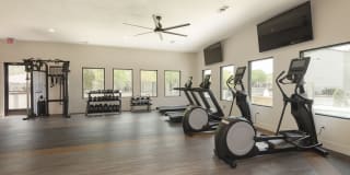 The Madrid Gallery 3