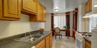 Cinnamon Run at Peppertree Farm Gallery 12