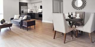 The Linden Gallery 10