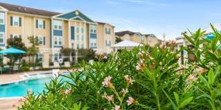 Bella Ridge North Gallery 39