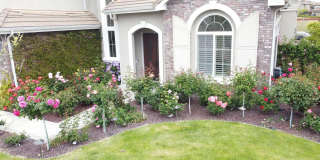 5637 Saddle Creek Ter Gallery 21