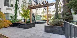 The Artiste Apartment Homes Gallery 11