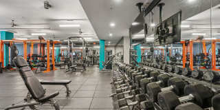 The Arnold Gallery 13