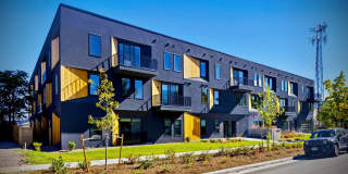 Treeline Treeline Gallery 1