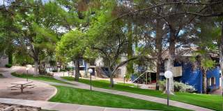 Mountain Steppes Gallery 21