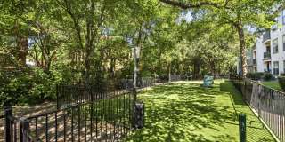 The Trails of White Rock Gallery 22