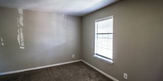 Spring Pine Gallery 26