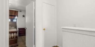1666 PALMA Gallery 18