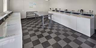 SITE Fifty55 Gallery 15