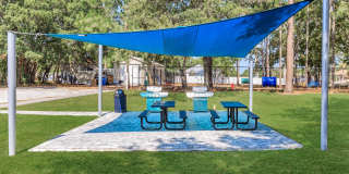 Ariel Springs Gallery 5