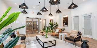 The Village at Lake Lily Gallery 8