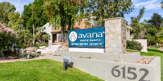 Avana River Ranch Gallery 25
