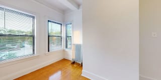 The Pepperland Gallery 5