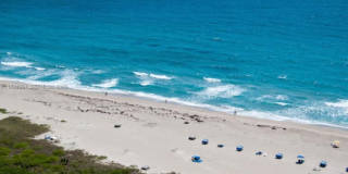 2800 N Ocean Dr Gallery 2