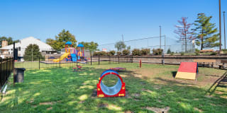 Glen at Bogey Hills Gallery 51