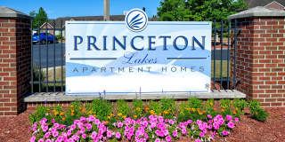 Princeton Lakes Gallery 44