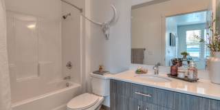 Red Hawk and Laurel Grey Gallery 26