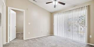 Vista Lake Ned Gallery 49