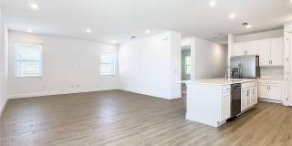 11165 GREEN CITRON Alley Gallery 15