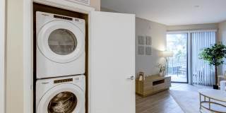 Mayla Pompano Gallery 41