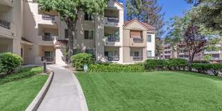 Paloma Vista Apartment Homes Gallery 8