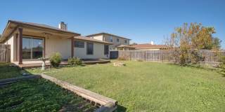 Delightful & Convenient 3 Bedroom, 2 Bath Home in Pflugerville Gallery 20