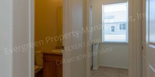 Beautiful 4-Bedroom in Greeley Colorado Beautiful 4-Bedroom in Greeley Colorado Gallery 23