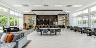 Sophia Square Gallery 14