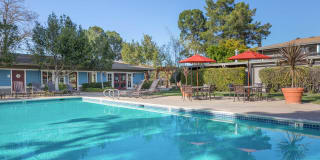 Reserve at Mountain View Gallery 15