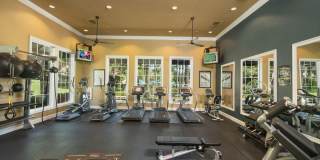 Esplanade Gallery 11