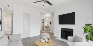 Morrison in Mesa Gallery 5