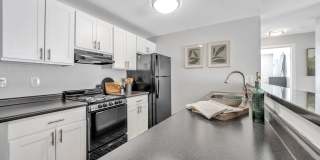 The Meadows Gallery 23