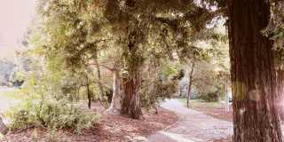 The Landing Gallery 45