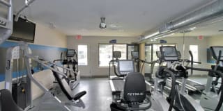 Cielo Point Cielo Point Gallery 10