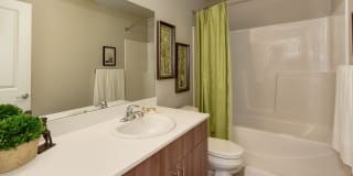 Avaya Trails Gallery 18