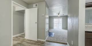 Ashford Santa Cruz Gallery 8