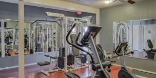 The Timbers at the Park Gallery 23