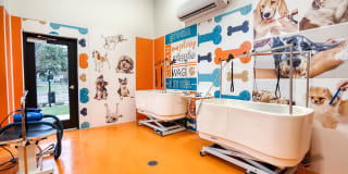 Meridian at the Port Gallery 17