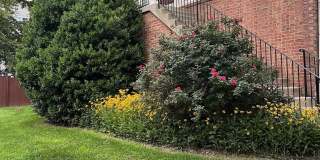 209 MISTY POND Terrace Gallery 2