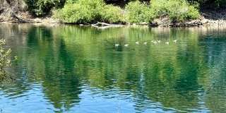 1608 E Mission Ave Gallery 7