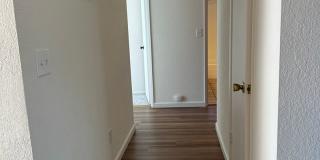 Mature dog considered. Nice home, convenient location off Placer & Wisconsin, Rdg. Gallery 28