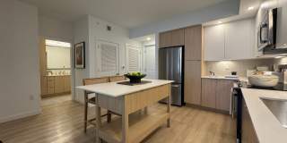 Caroline at Golden Glades Gallery 8