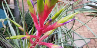 226 NE 1st Avenue unit: Key Lime Suite Gallery 51