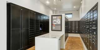 Carrington Square Gallery 29