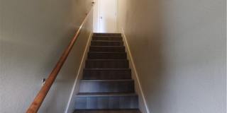 17 Rainsong Gallery 8