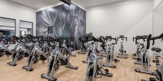 Riata Austin Riata Austin Gallery 29