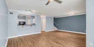 204 East South Street#1055 Gallery 19