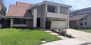 46 Christamon W Gallery 1